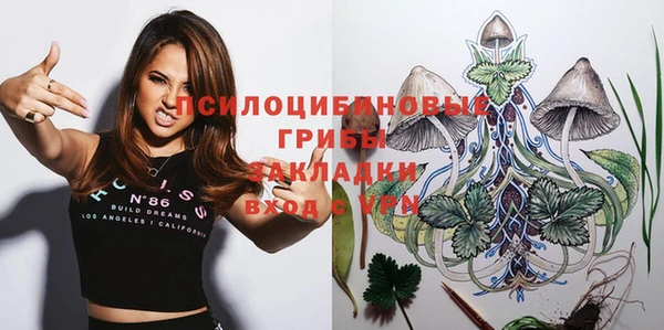 ECSTASY Алексин